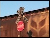 01122008_csxS592_hanceville_avi.flv