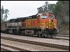 01262008_c-nampam_quinton.jpg