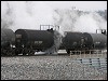 01262008_unk_jasper.jpg