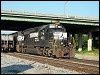 06102006_unk_finley.jpg