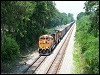 07082006_unk_stevenson5.jpg