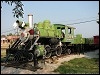 08182007_unk_cowan23.jpg