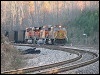 11242006_unk_palos.jpg