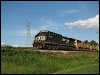 20080913_17z_pride.jpg