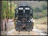 20081011_unk_copperhill23.jpg