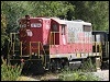 20081011_unk_copperhill26.jpg