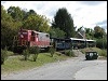 20081011_unk_copperhill9.jpg