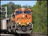 20081012_736_ooltewah.jpg