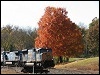 20081108_csx_q127_bridgeport3.jpg