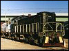 alco_2.jpg