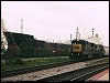 csx_7557.jpg