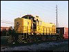 iic_107.jpg