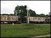 jpeterson_1254429988.jpg