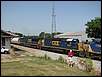 jpeterson_1280802065.jpg