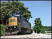 jpeterson_1280802646.jpg