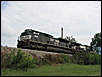 jpeterson_1335734455.jpg