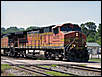 jpeterson_1335735087.jpg
