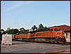 jpeterson_1337886310.jpg