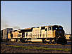 jpeterson_1358817389.jpg