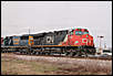 jpeterson_1395365289.jpg
