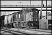 jpeterson_1415418720.jpg