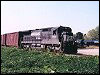ns_8741.jpg