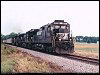 ns_8882.jpg