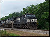 ns_8987.jpg