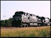 ns_8999.jpg
