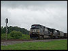 ns_9545.jpg