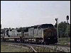 q120-hoot2.mpg