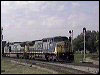 q128-hoot2.mpg