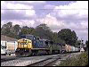 q595-hoot2.mpg