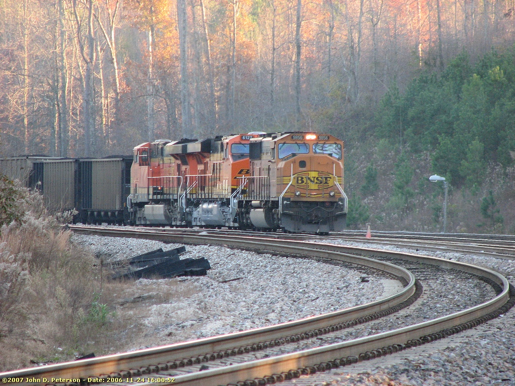 11242006_unk_palos.jpg