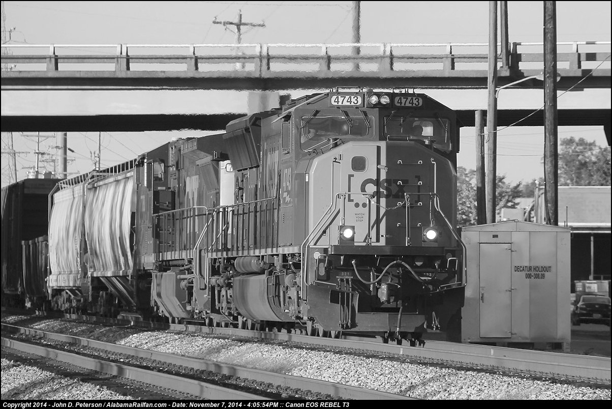 jpeterson_1415418720.jpg