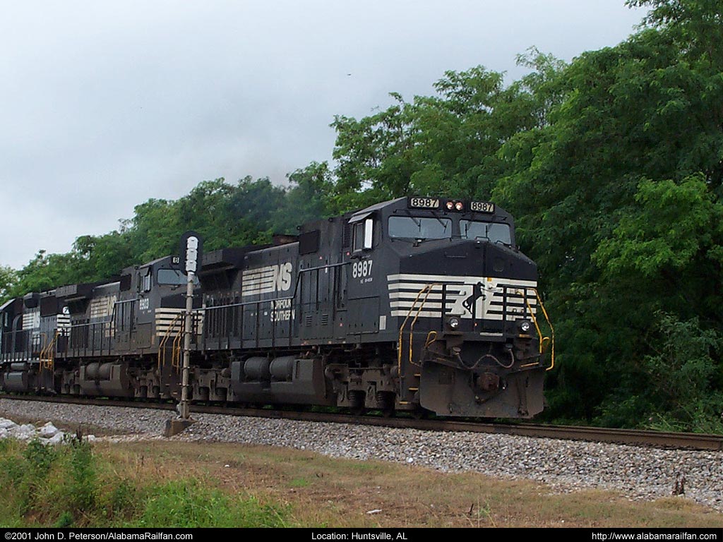 ns_8987.jpg